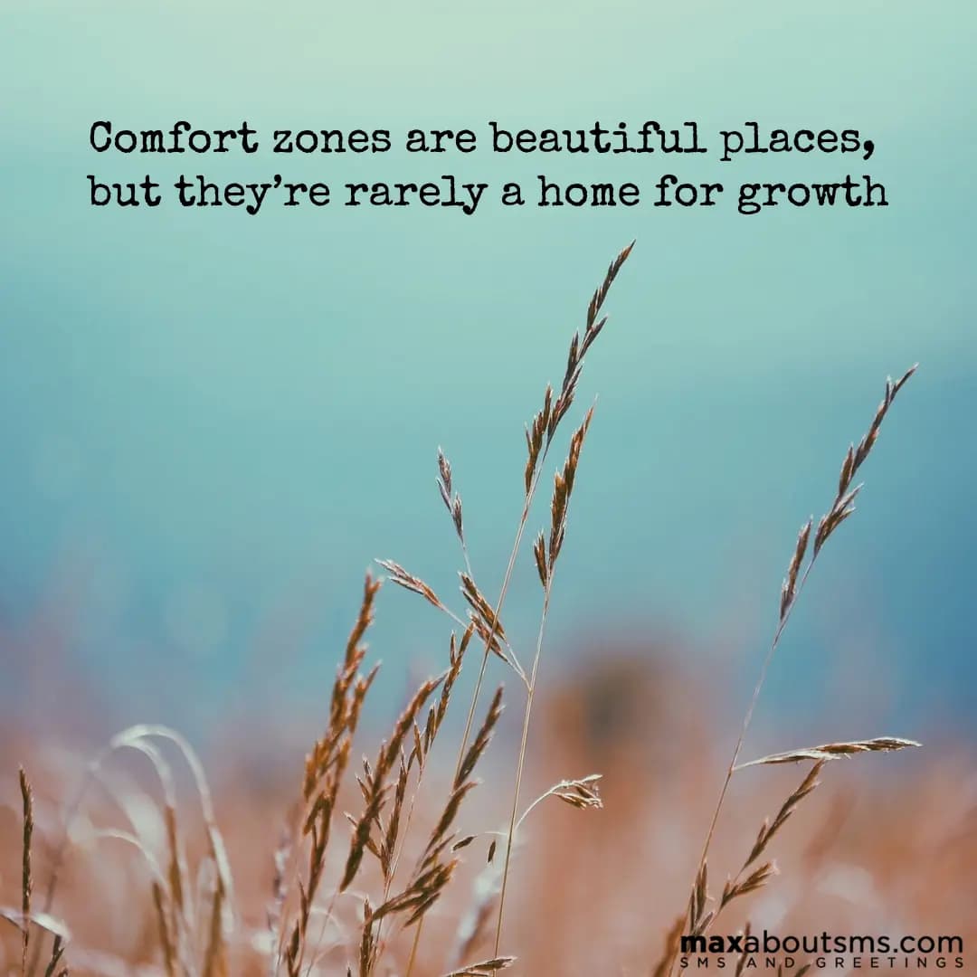 Comfort zones are beautiful places, but they’re ra