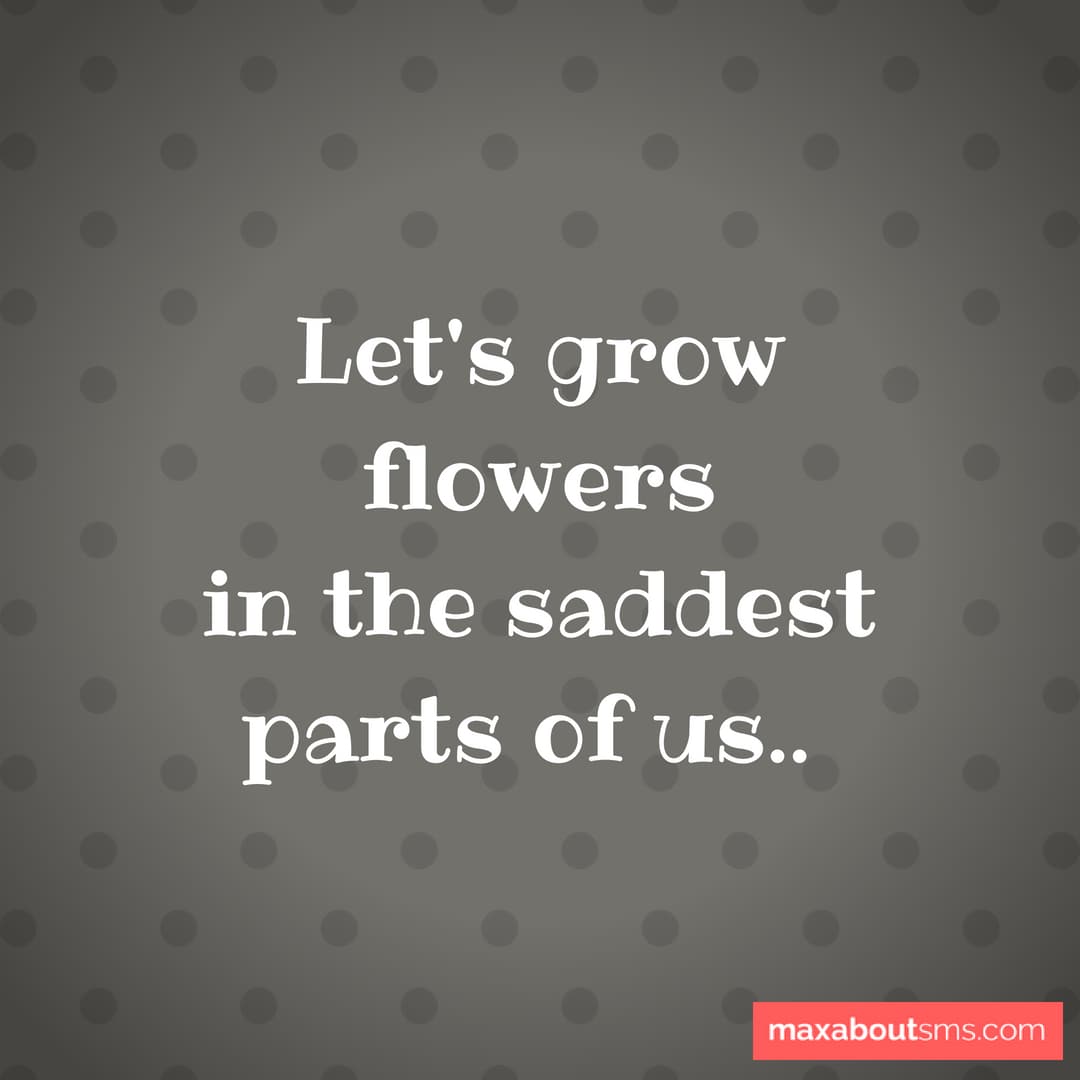 Let's grow flowers
in the saddest parts of us..