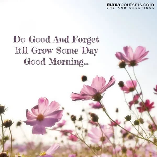 Do Good and Forget, It will grow someday.
Good Mor