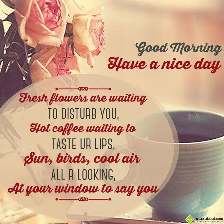 Fresh flowers are waiting to disturb you,
Hot cof