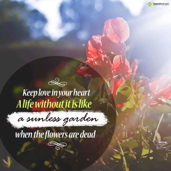 Keep love in your heart
A life without it is like